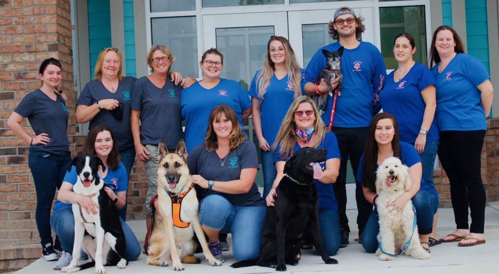 Our Veterinary Team | Surf City Pet Hospital